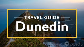 Dunedin Vacation Travel Guide  Expedia [upl. by Ettenrahs]