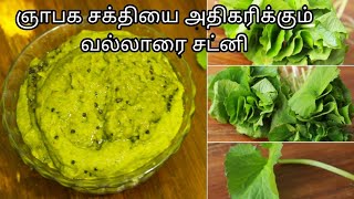 வல்லாரை சட்னி  Chutney recipe in tamil  Vallarai chutney  Chutney recipe  Quick chutney recipe [upl. by Halland]