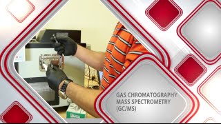 Gas ChromatographyMass Spectrometry [upl. by Shugart247]