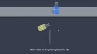 Sucrose Benedicts test [upl. by Anitnoc106]