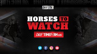 DRF Horses to Watch  March 16 2022 [upl. by Ping256]