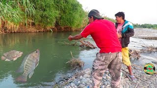 MIRA ASÍ SE PESCAN A LAS TILAPIAS CON ANZUELO  Pesca de Tilapias en Río [upl. by Rojas]