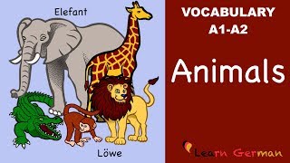 Learn German Vocabulary  Animals in German Tiere [upl. by Harlene]