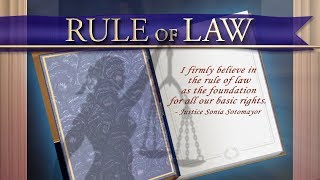 Court Shorts Rule of Law [upl. by Scandura]