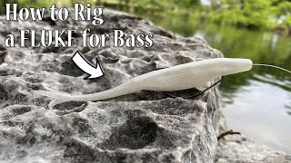 How to RIG a FLUKE for Bass FLUKE UnderWater FLUKE Tips ZOOM Fluke Clear Water Bass Fishing Bait [upl. by Hadihahs]