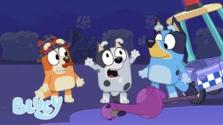 Season 1 Full Episodes  Bluey [upl. by Heidie]