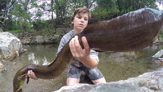 Catching The BIGGEST Freshwater EEL AMAZING [upl. by Keheley]