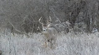 Crossbow Country  Deer amp Deer Hunting TV [upl. by Wendall]