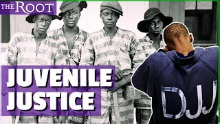 History of the Juvenile Justice System [upl. by Notnel]