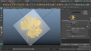 Autodesk Maya Texturing with Transparency [upl. by Ardehs82]