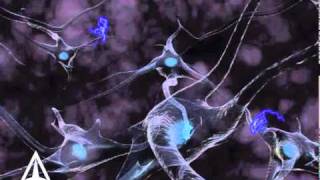 How Neurotransmission amp brain signals work  3D animation [upl. by Almallah]