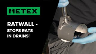 Stopping Rats In Drains With Ratwall Rat Blocker [upl. by Tongue826]