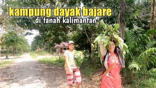 Kampung Dayak Bajare di kalimantan [upl. by Enelrac]