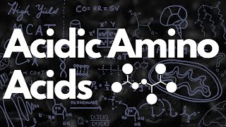 Acidic Amino Acids Aspartate amp Glutamate  MCAT [upl. by Eirrod]