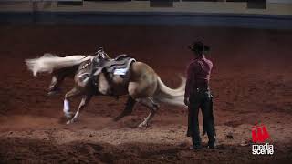 Reining Horse Spin without rider [upl. by Goodson]