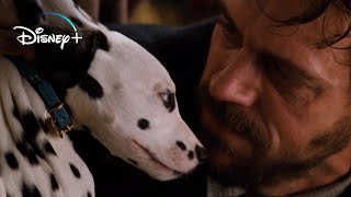 Cruella steals the Puppies – 101 Dalmatians HD Movie Clip [upl. by Elyssa]