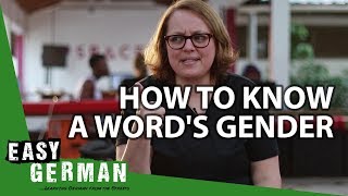 How to know a words gender  Super Easy German 70 [upl. by Asalocin]