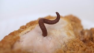 WORM IN CHICKEN [upl. by Jasun]