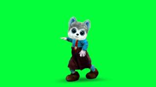 Free Green Screen Dancing Husky 001 HD [upl. by Drugge762]