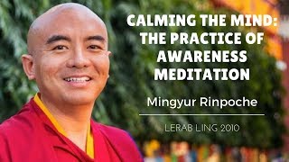 Mingyur Rinpoche  Calming the Mind The Practice of Awareness Meditation [upl. by Ela]