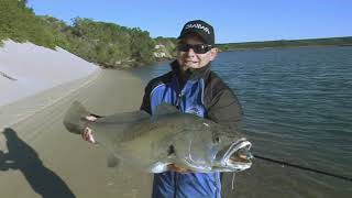 Gamtoos River FIshing [upl. by Grory]