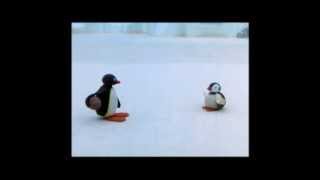 Pingu Cannot Lose Clip  Pingu Official Channel [upl. by Aicirtap]