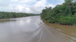 French Guiana a lush green land in need of protection [upl. by Kelley]