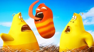 LARVA  DOUBLE TROUBLE  2019 Cartoon  Cartoons For Children  WildBrain Cartoons [upl. by Minabe]