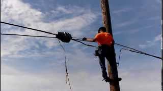 Lineman on job training [upl. by Llerdnek]