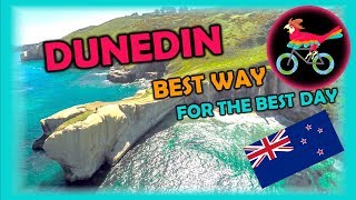 DUNEDIN New Zealand Travel Guide Free SelfGuided Tours Highlights Attractions Events [upl. by Rebeh]