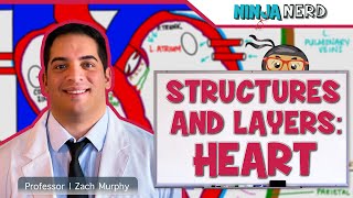 Cardiovascular  Structures and Layers of the Heart [upl. by Madge]