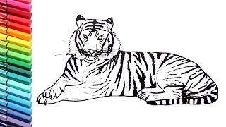 Drawing and Coloring a Tiger  How to Draw Wild Animals Color Pages for Children [upl. by Cutter]