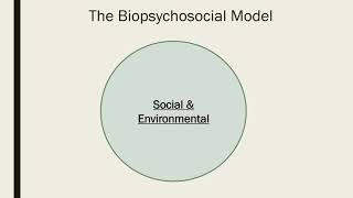 The Biopsychosocial Model [upl. by Barger]