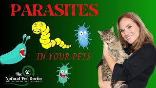 Top Natural Remedies For Parasites In Your Dogs amp Cats  Holistic Vet Advice [upl. by Adnov290]