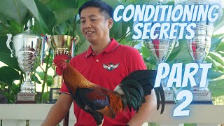 Part 2  Ang Sikreto Sa Pagkukundisyon Ng Manok Panabong [upl. by Dudden619]