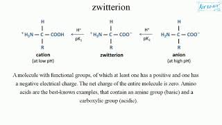 zwitterion [upl. by Ahusoj]