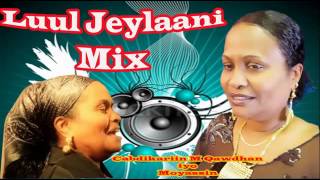 Luul Jeylaani Waaberi Legend Mix YouTubevia torchbrowser com [upl. by Dottie]