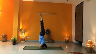 Sivananda Yoga Class  60 min session  Intermediate variations [upl. by Nolyag]