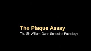 The plaque assay [upl. by Imac277]