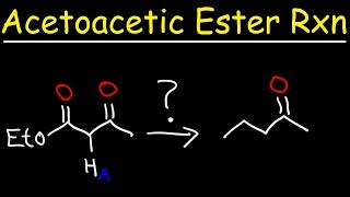 Acetoacetic Ester Synthesis Reaction Mechanism [upl. by Oirom746]