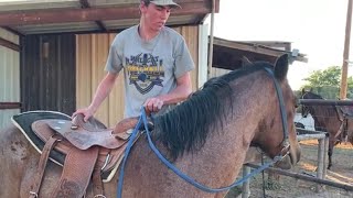 Horse Training  First Ride First Mount [upl. by Hankins]