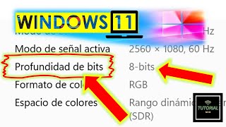 Cómo ver la profundidad de bits que tiene el monitor en Windows 11 [upl. by Calder]