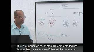 Leukemia classifications  Hematologic System Diseases  NCLEXRN  Khan Academy [upl. by Wakeen]