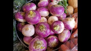 VEGISODE Purple Top Turnip Storage and Braised Turnips Recipe [upl. by Farr]