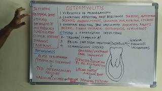 How to Assess Osteomyelitis on MRI [upl. by Lomaj55]