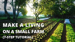 How to Start a Farm From Scratch Beginners Guide to Growing Vegetables for Profit [upl. by Nesilla581]