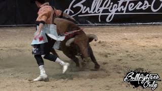 A Short History of Bullfighters Only [upl. by Enelcaj]