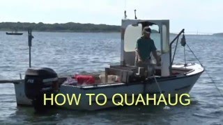 How to Quahaug How to dig for Clams [upl. by Nesta]