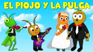 El piojo y la pulga  Canción Infantil en Español [upl. by Atteoj]