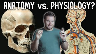 Whats the Difference Between Anatomy and Physiology  Corporis [upl. by Maria109]